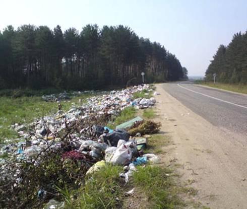 проблема вывоза мусора в поселке Петрово-дальнее