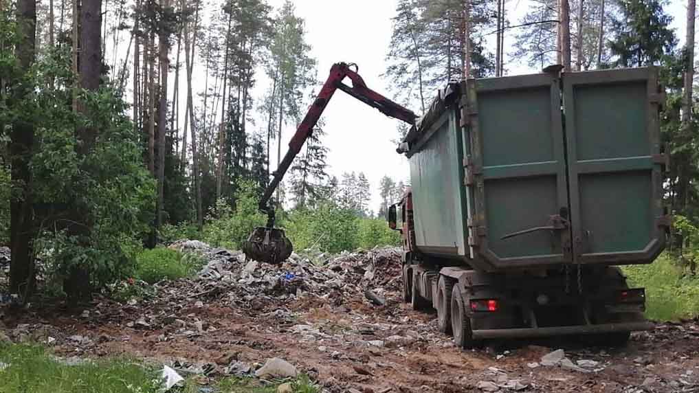 бытовой мусор в лесах подмосковья