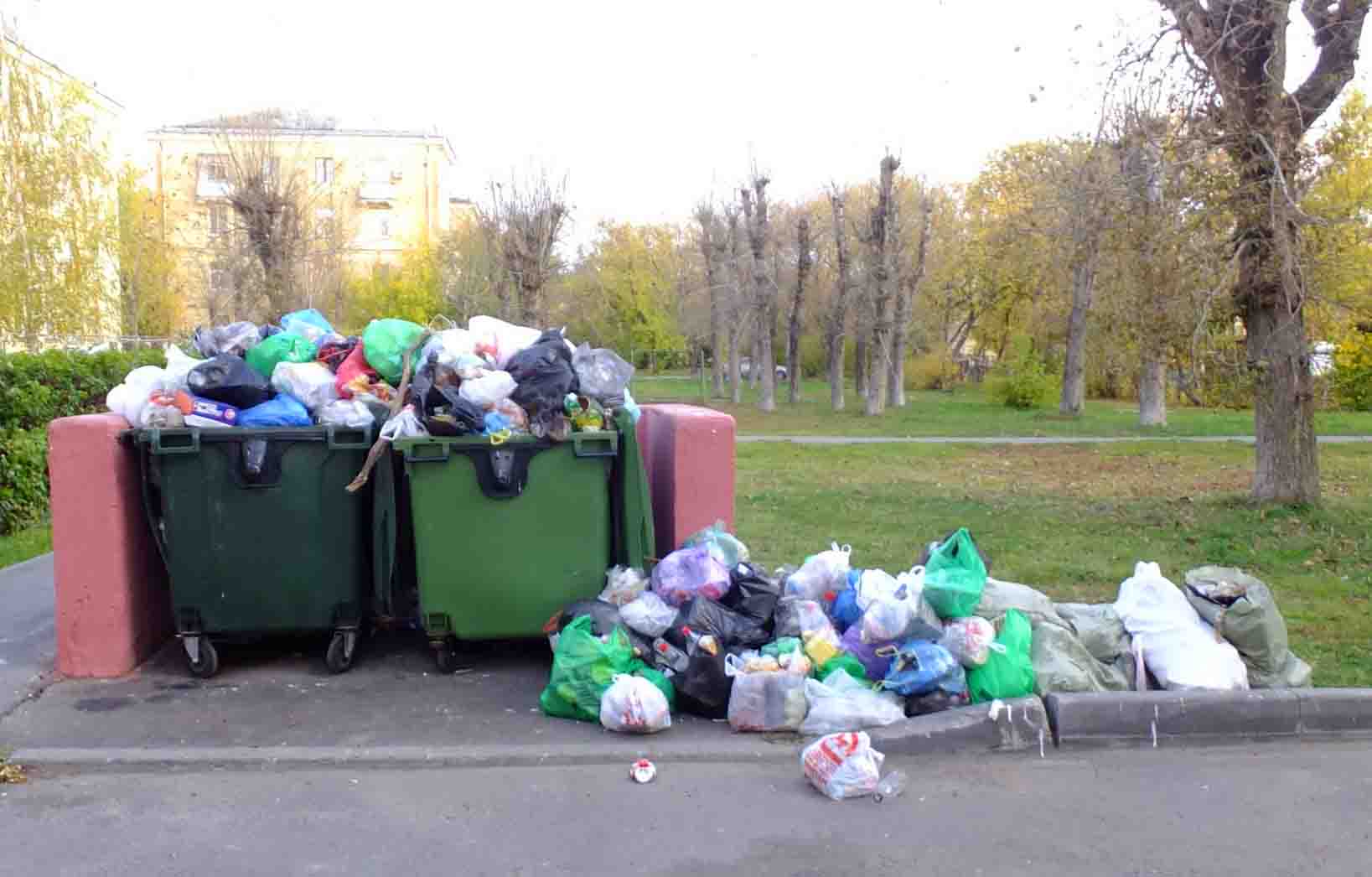 ситуация по обращению с мусором в москве
